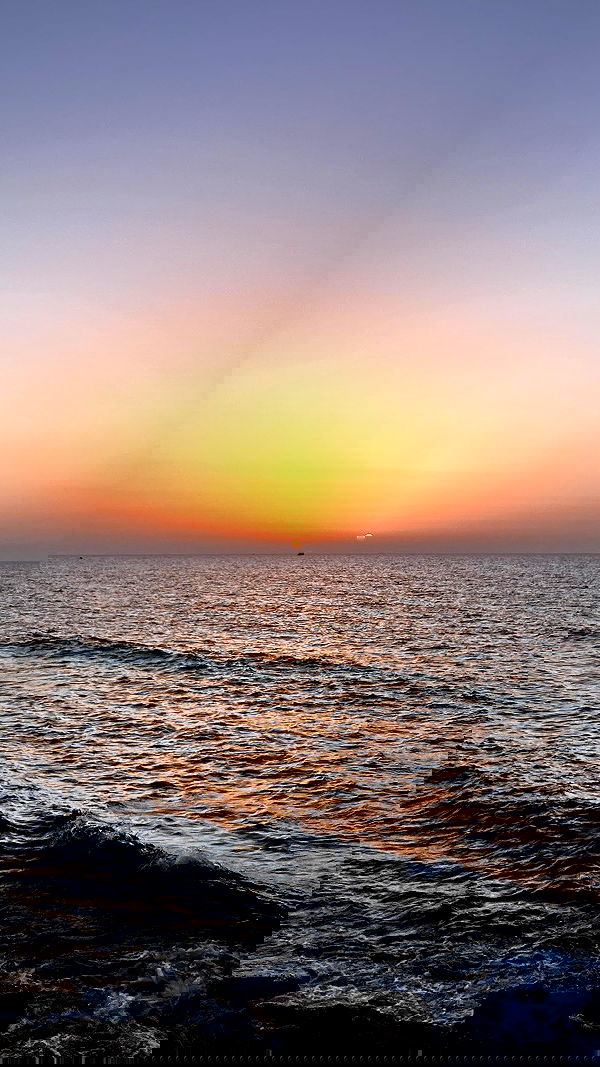 elianachetrit image ~ Altpins