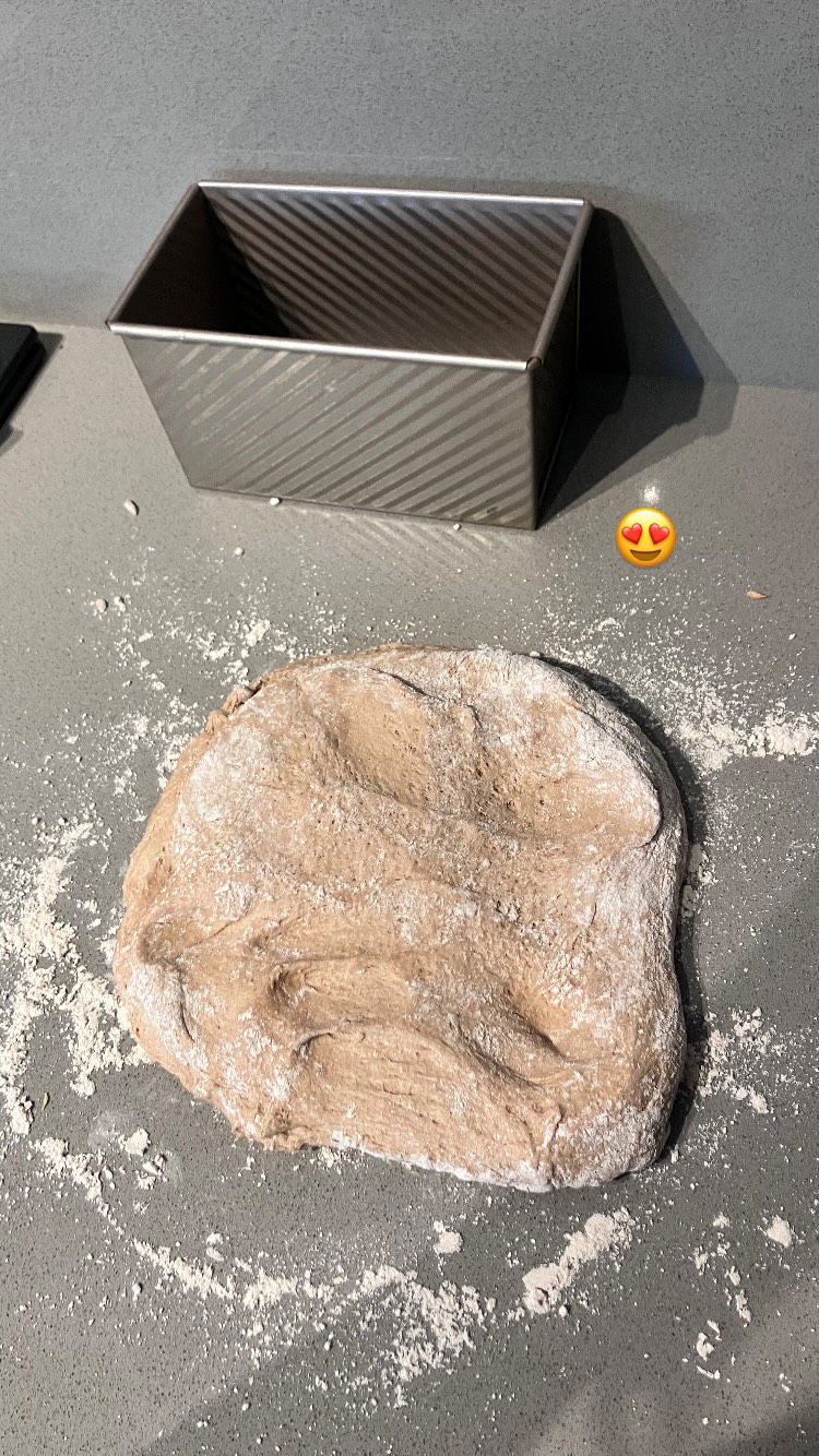 elianachetrit instagram image archive image