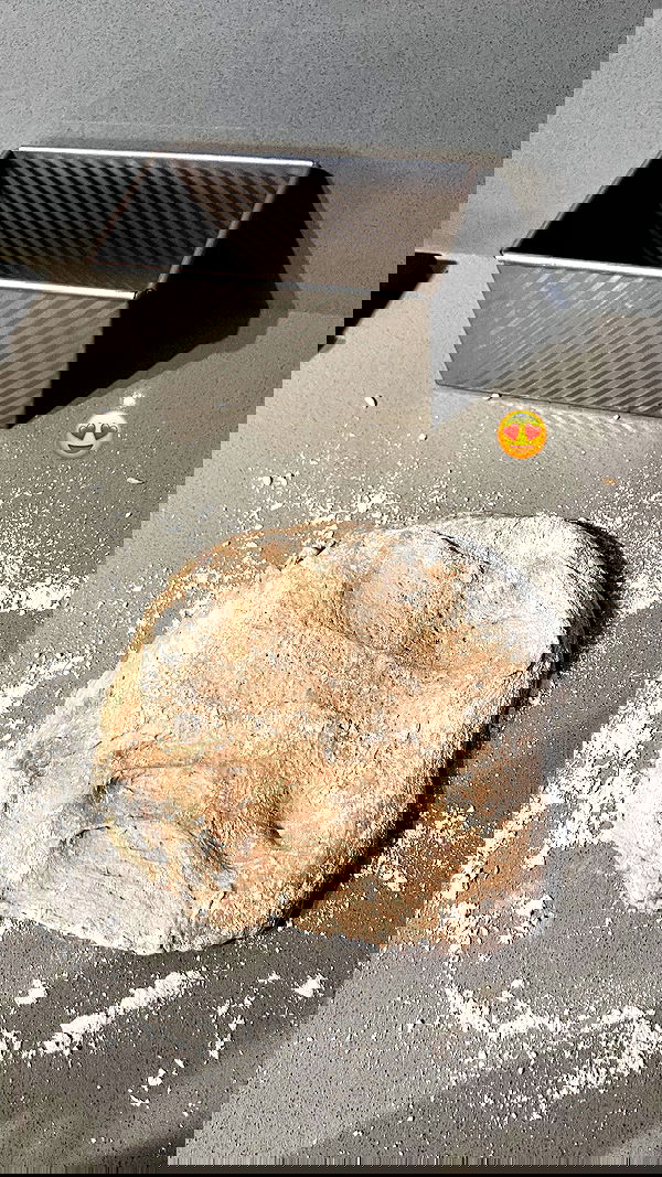 elianachetrit image ~ Altpins