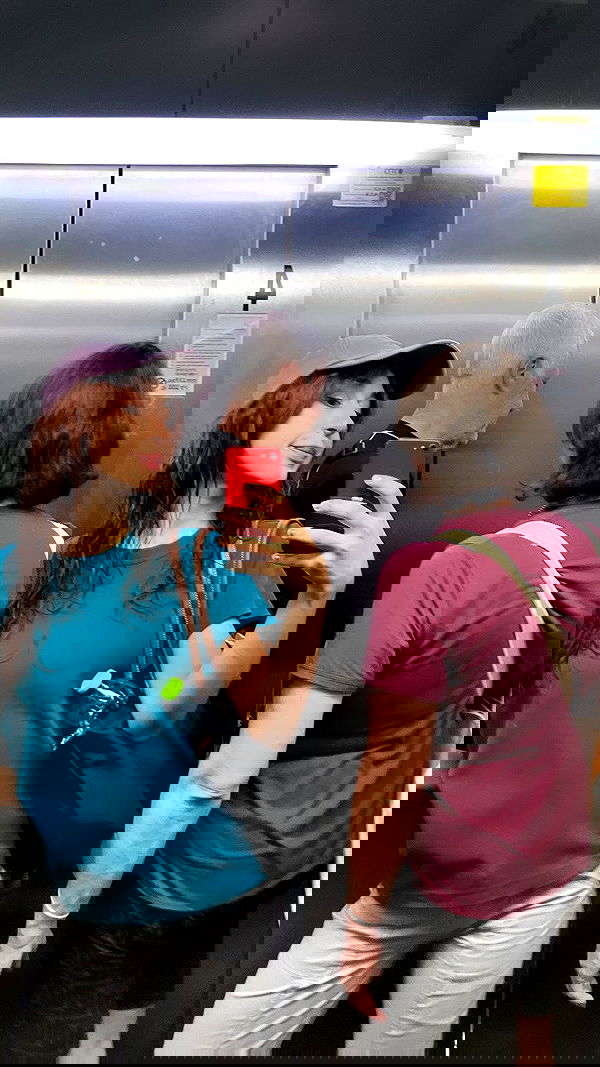 elianachetrit image ~ Altpins