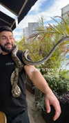 elika_shev Altpins Profile Picture