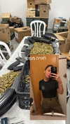 elika_shev Altpins Profile Picture