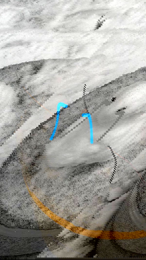 eliya.ho eliya.ho archive image