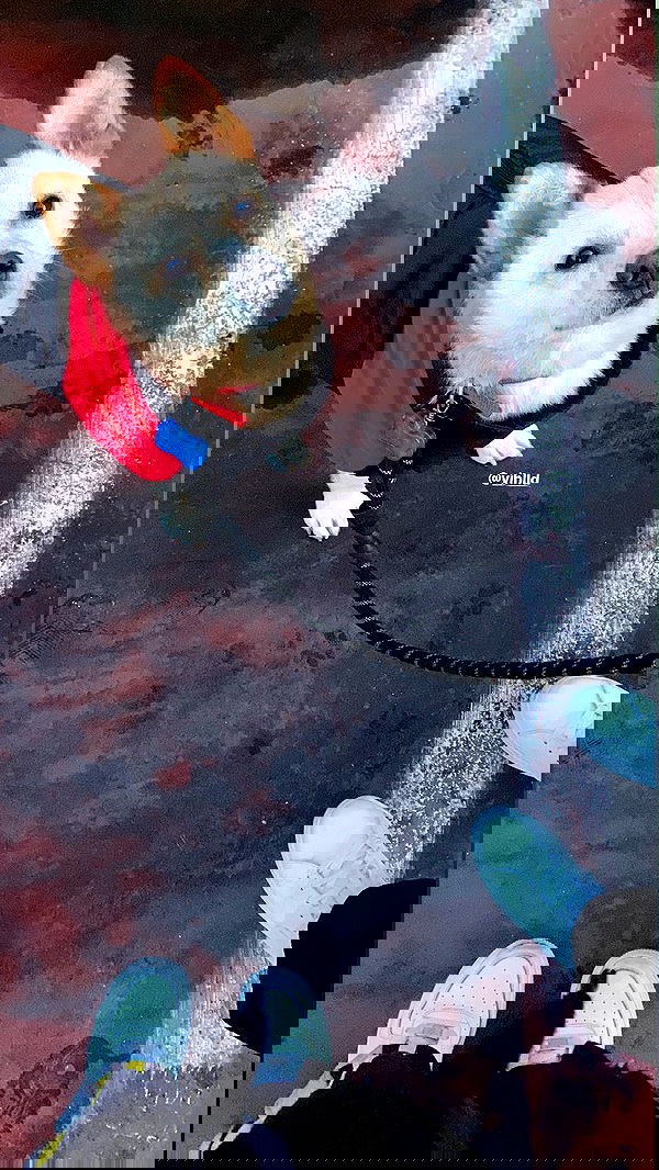 eliya.ho eliya.ho archive image