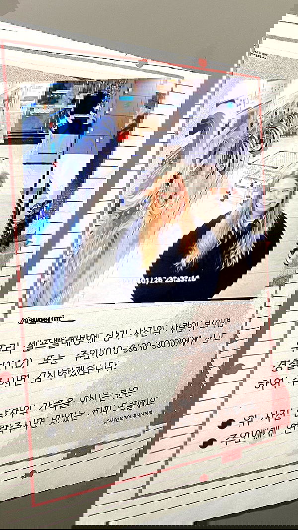 eliya.ho eliya.ho archive image