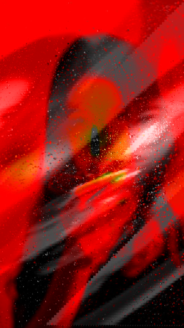 eliya.ho eliya.ho archive image