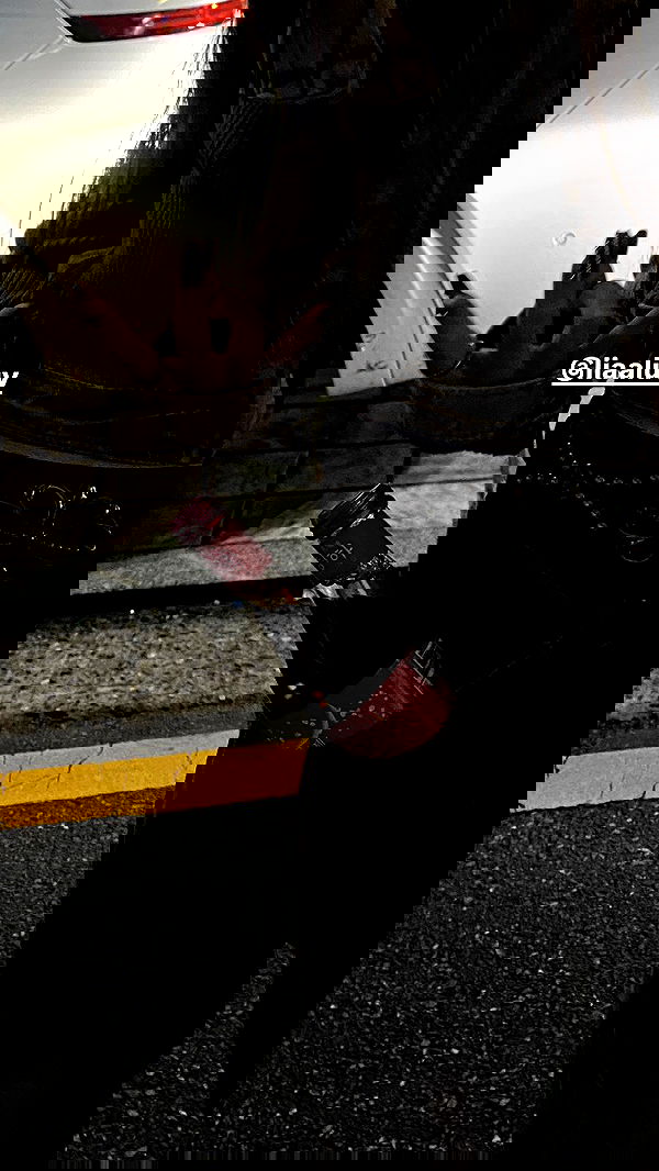 eliya.ho eliya.ho archive image