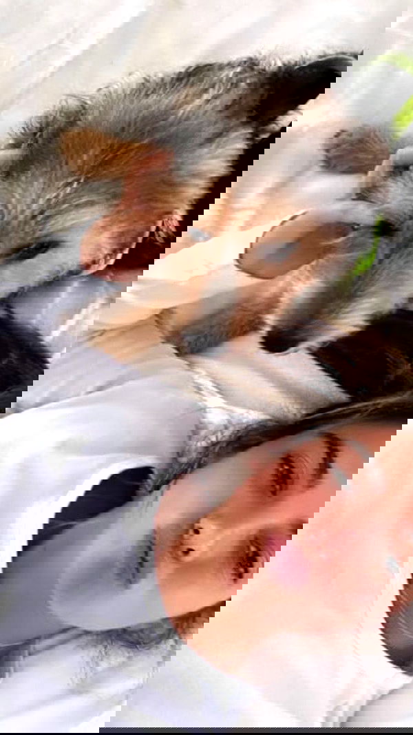 ella_avital08 ella_avital08 archive image