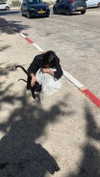 ella_loilta18.4 Altpins Profile Picture