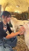ella_lolita18.4 Altpins Profile Picture