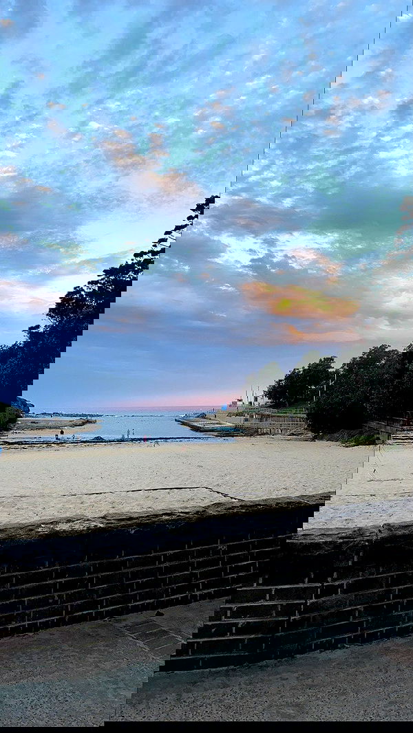 ellamwatts_ ellamwatts_ archive image