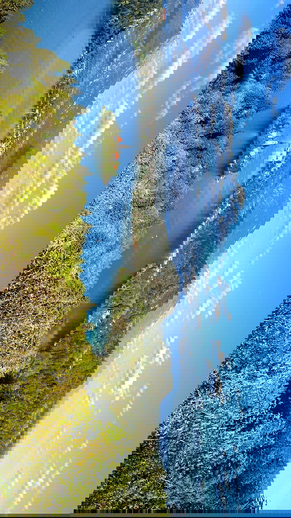 ellamwatts_ ellamwatts_ archive image