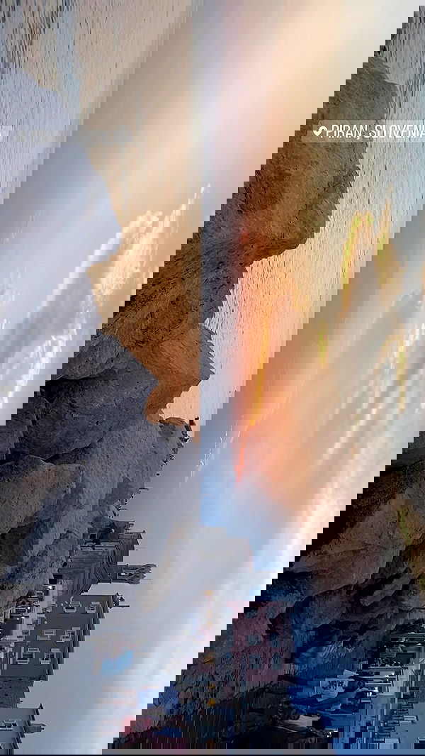 ellamwatts_ ellamwatts_ archive image