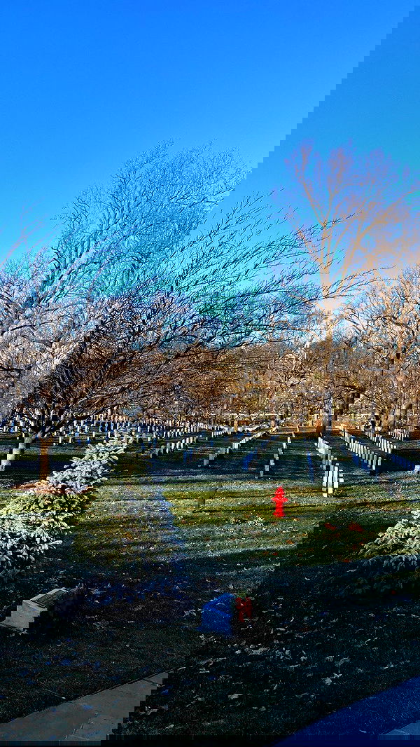 ellamwatts_ ellamwatts_ archive image