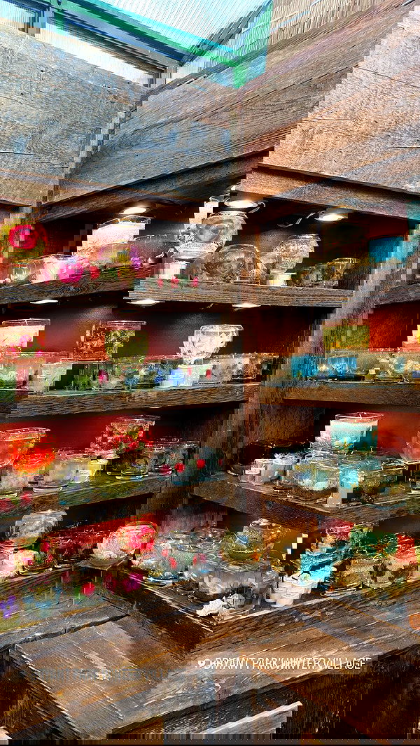 ellamwatts_ ellamwatts_ archive image