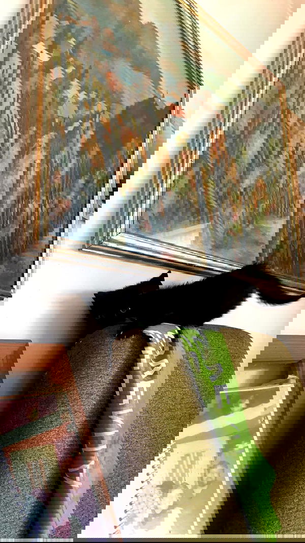 ellamwatts_ ellamwatts_ archive image