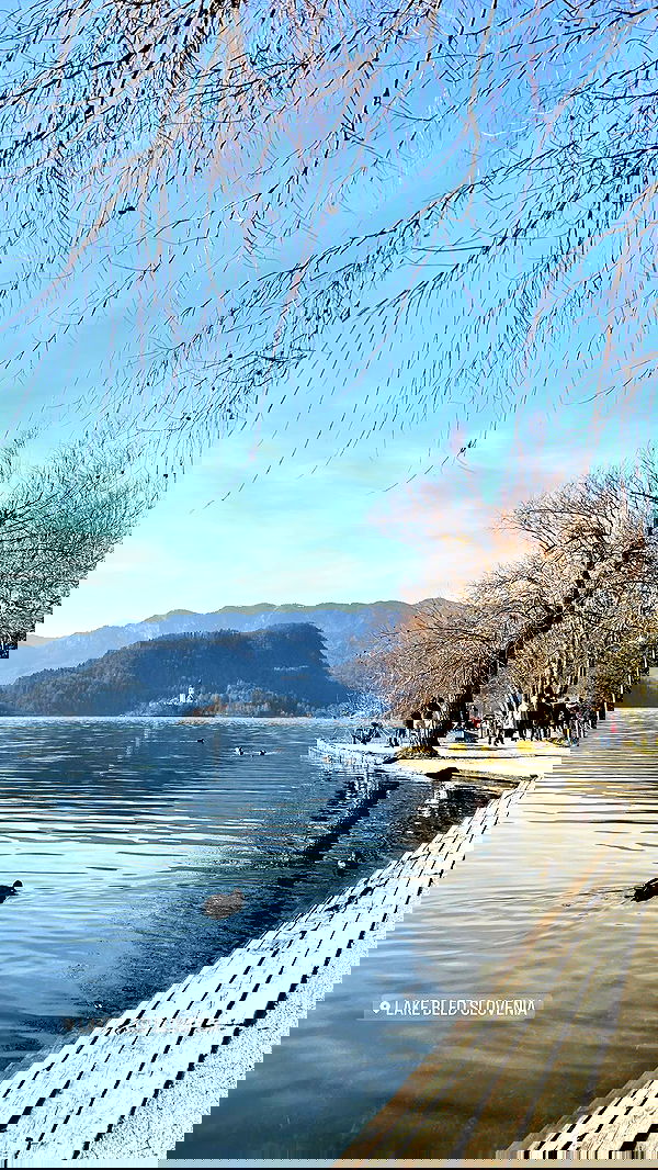 ellamwatts_ ellamwatts_ archive image