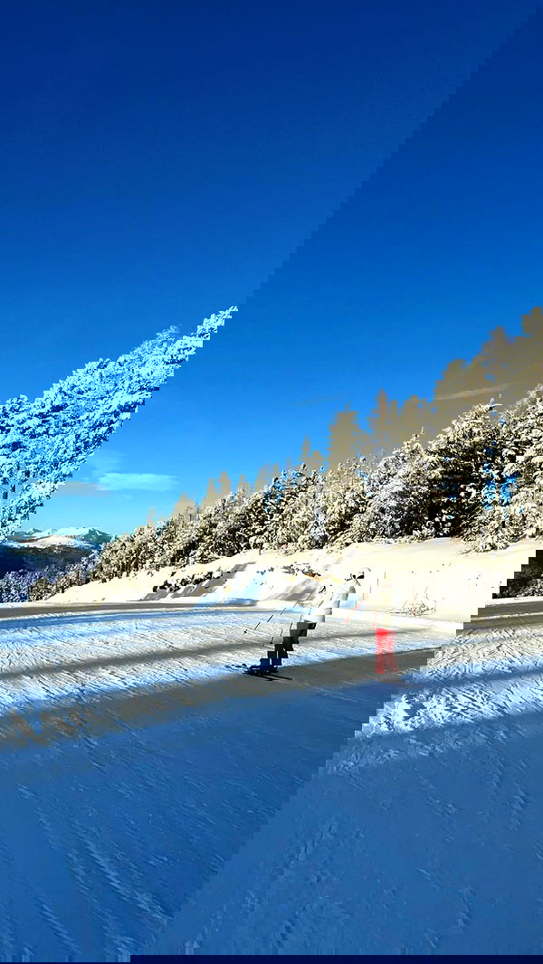 ellamwatts_ ellamwatts_ archive image