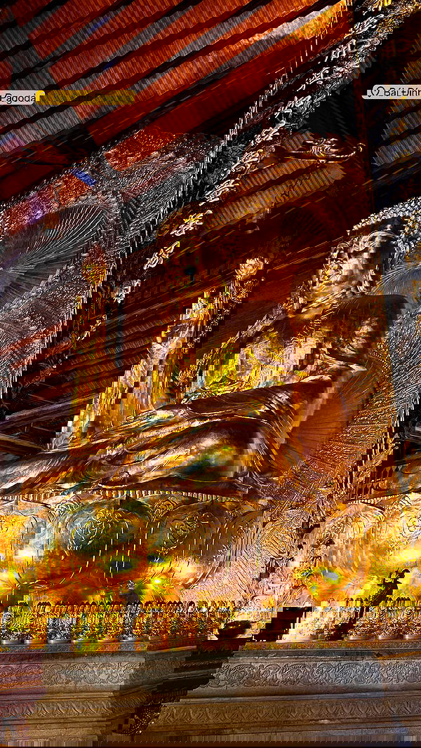 ellamwatts_ ellamwatts_ archive image