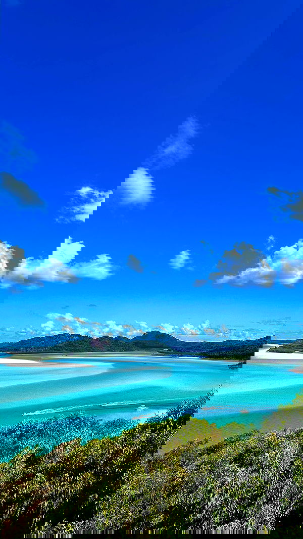 ellamwatts_ ellamwatts_ archive image