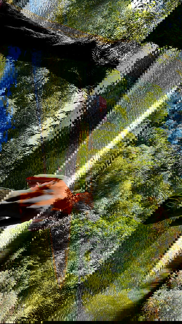 ellamwatts_ ellamwatts_ archive image