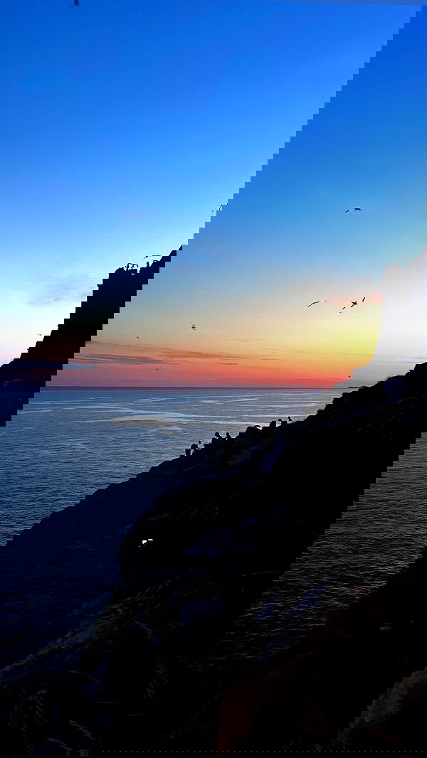 ellamwatts_ ellamwatts_ archive image