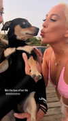 ellauk Altpins Profile Picture