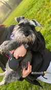 ellauk Altpins Profile Picture