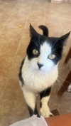 ellauk Altpins Profile Picture