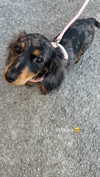 ellauk Altpins Profile Picture