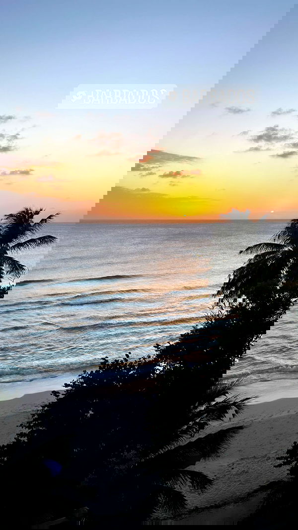 ellie.coldwell image ~ Altpins