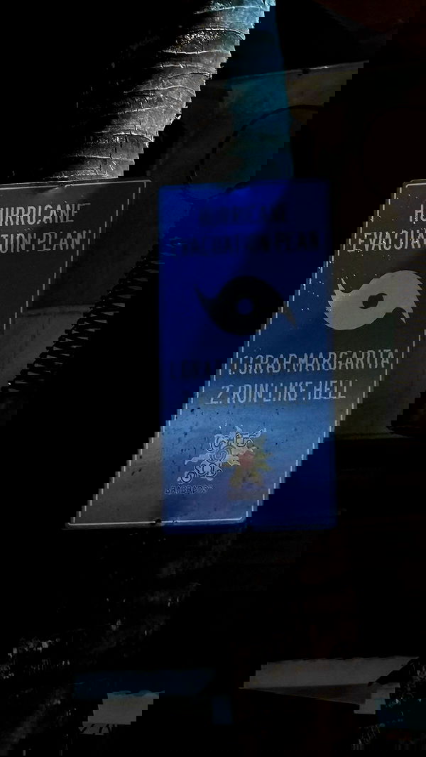 ellie.coldwell image ~ Altpins