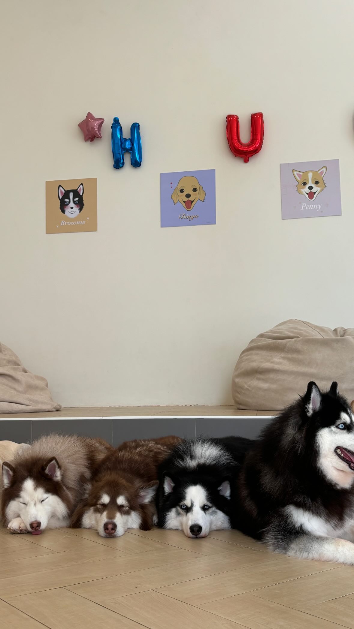 ellie.coldwell instagram image archive image