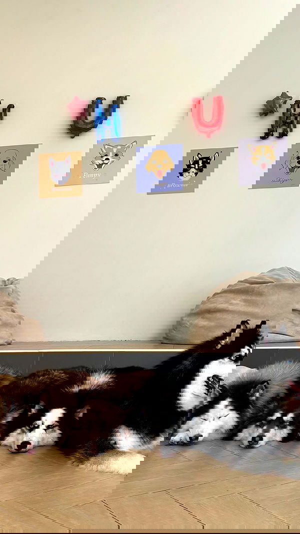 ellie.coldwell image ~ Altpins