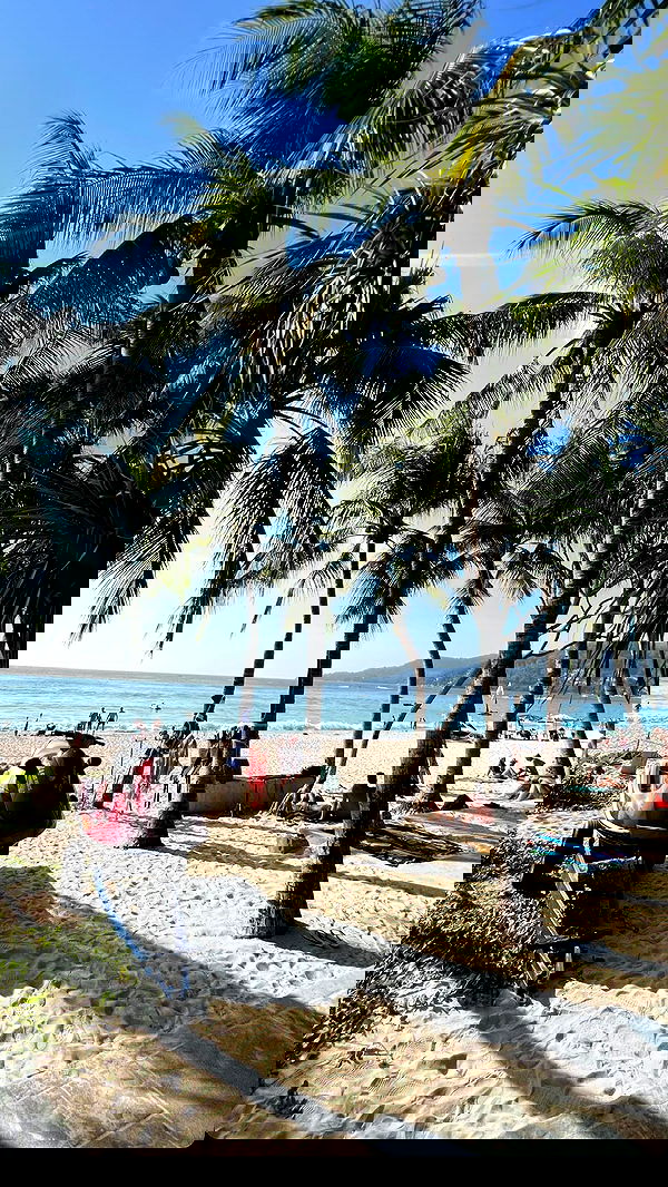 ellie.coldwell image ~ Altpins