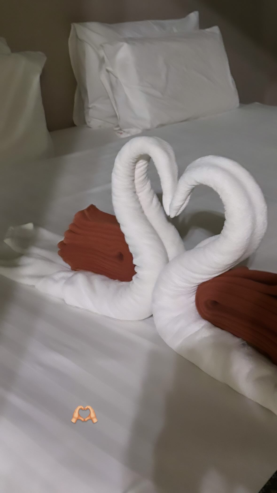 ellie.coldwell instagram image archive image