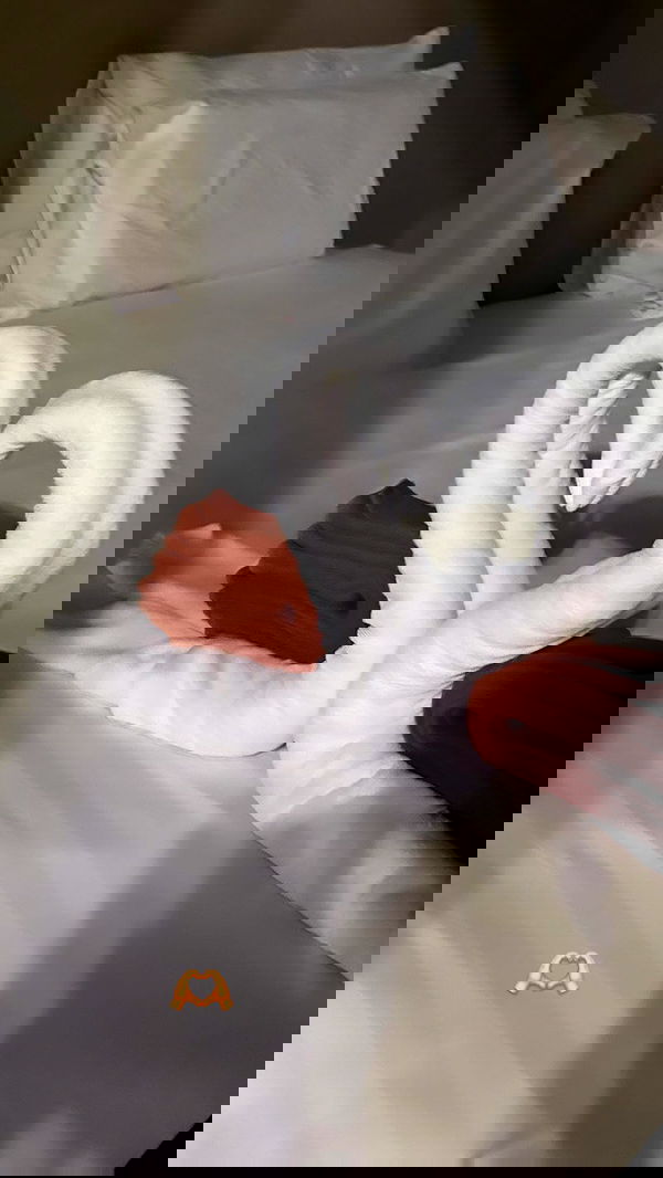 ellie.coldwell image ~ Altpins