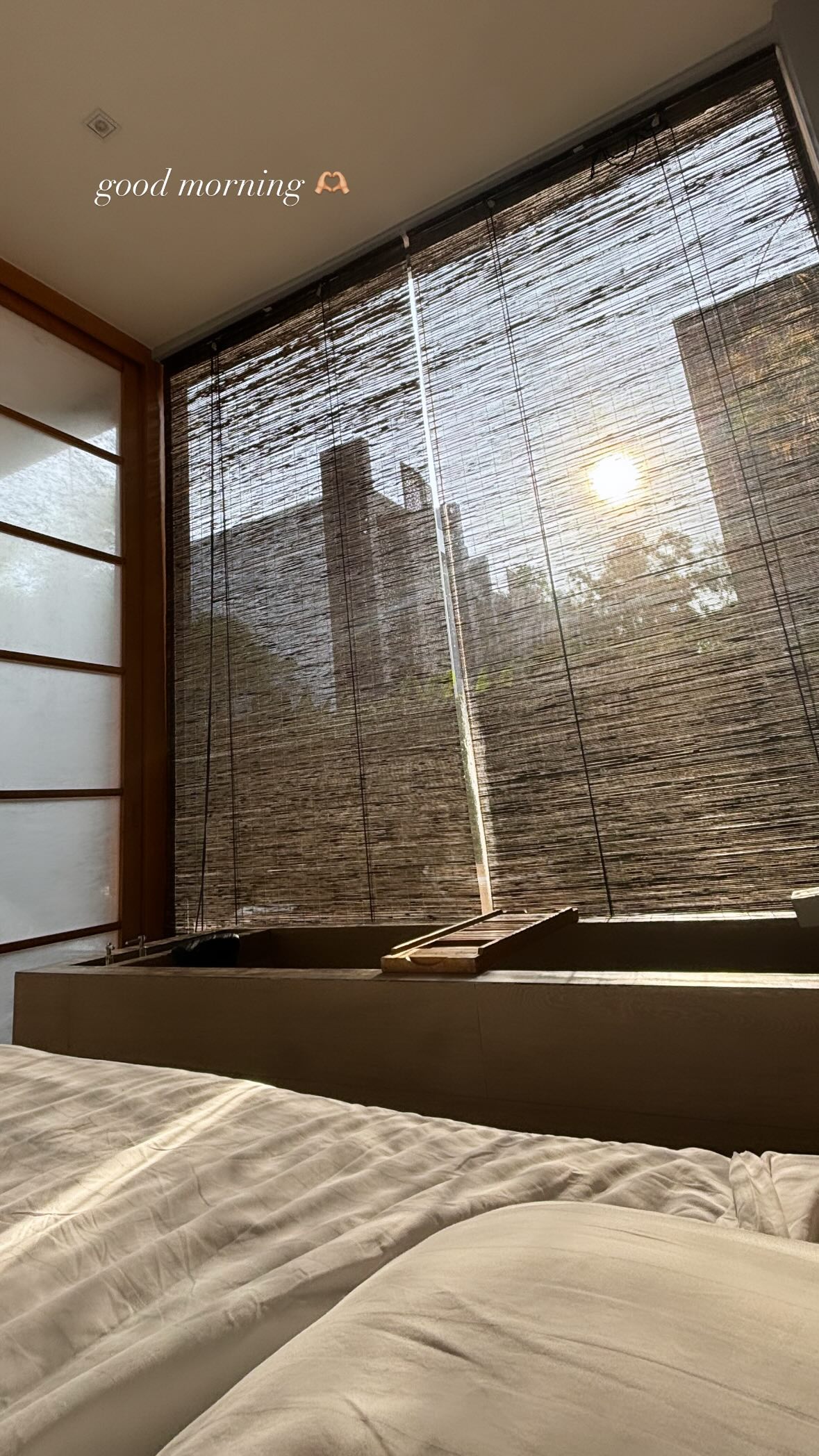 ellie.coldwell instagram image archive image