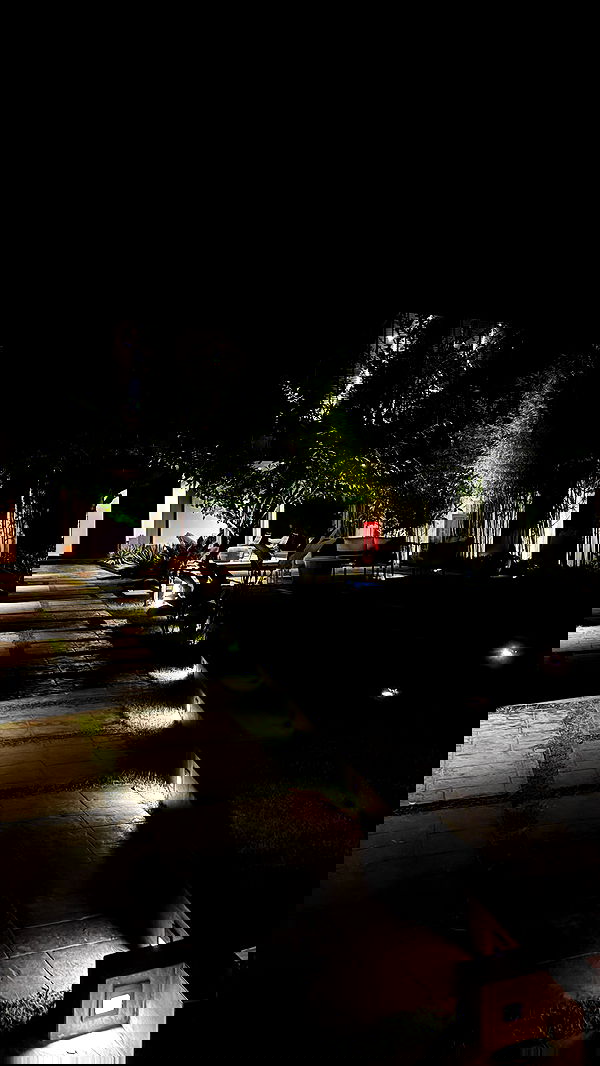 ellie.coldwell image ~ Altpins