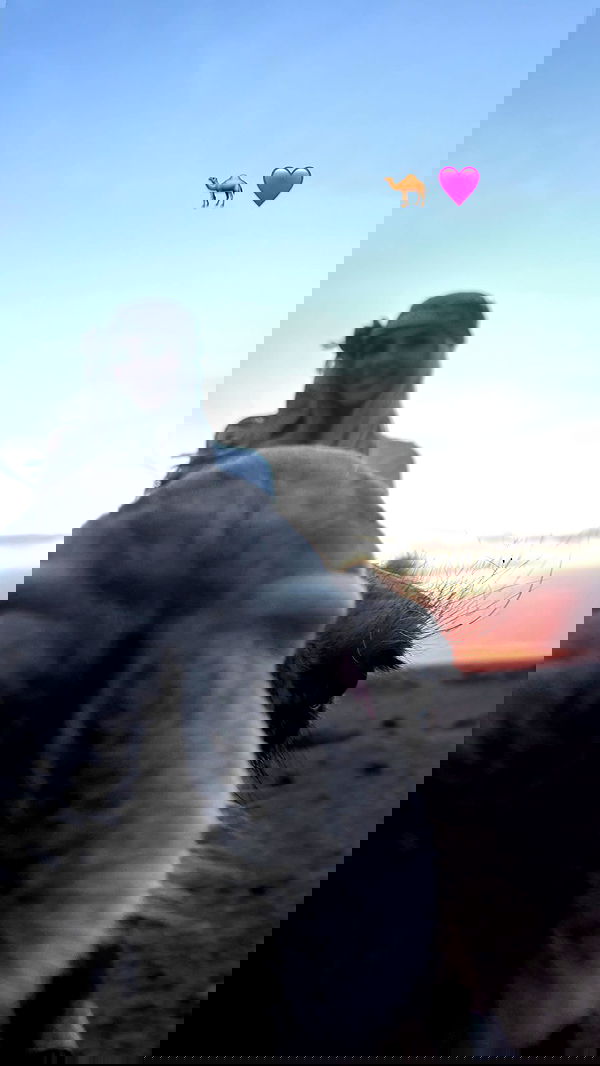 ellie.coldwell image ~ Altpins