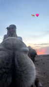 ellie.coldwell Altpins Profile Picture