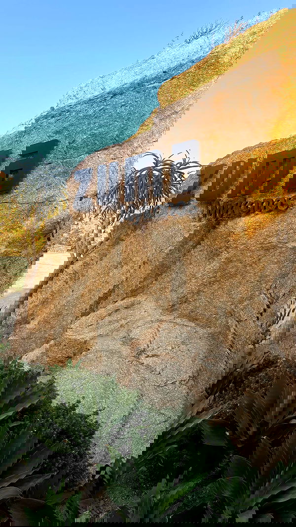 ellie.coldwell image ~ Altpins