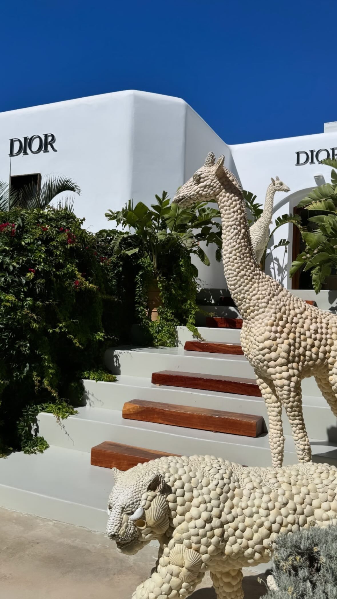 ellie.coldwell instagram image archive image