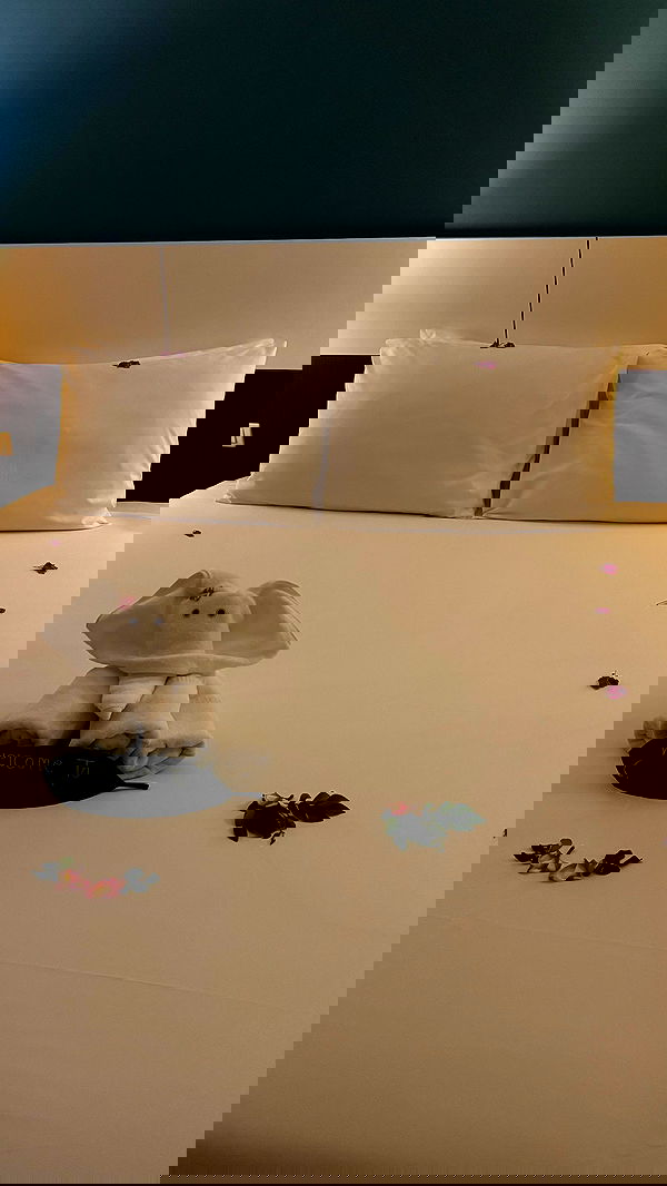 ellie.coldwell image ~ Altpins