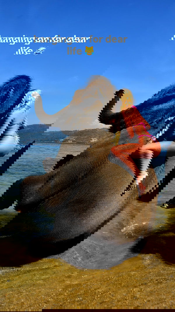 ellie.coldwell image ~ Altpins