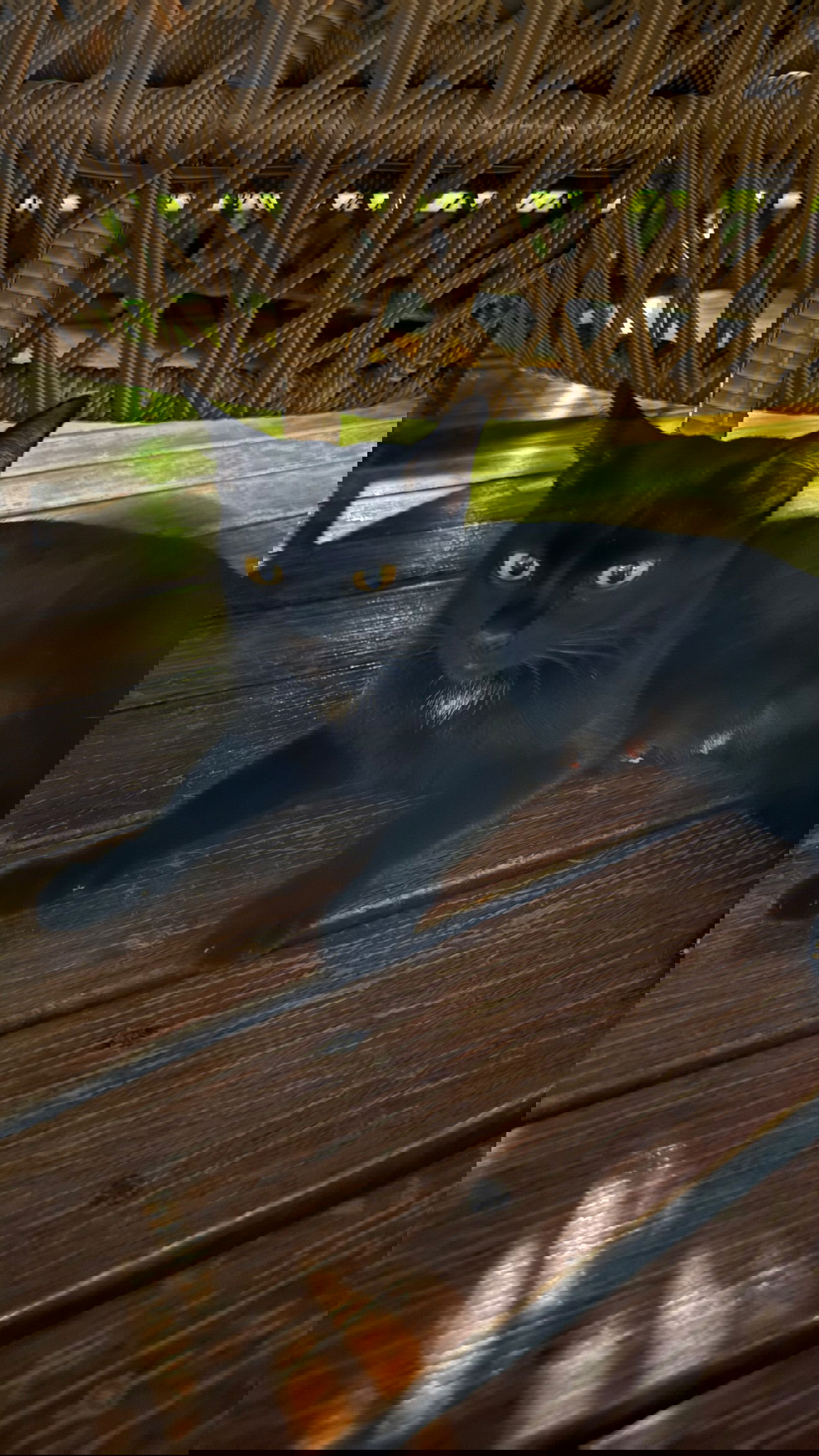 ellie.coldwell instagram image archive image