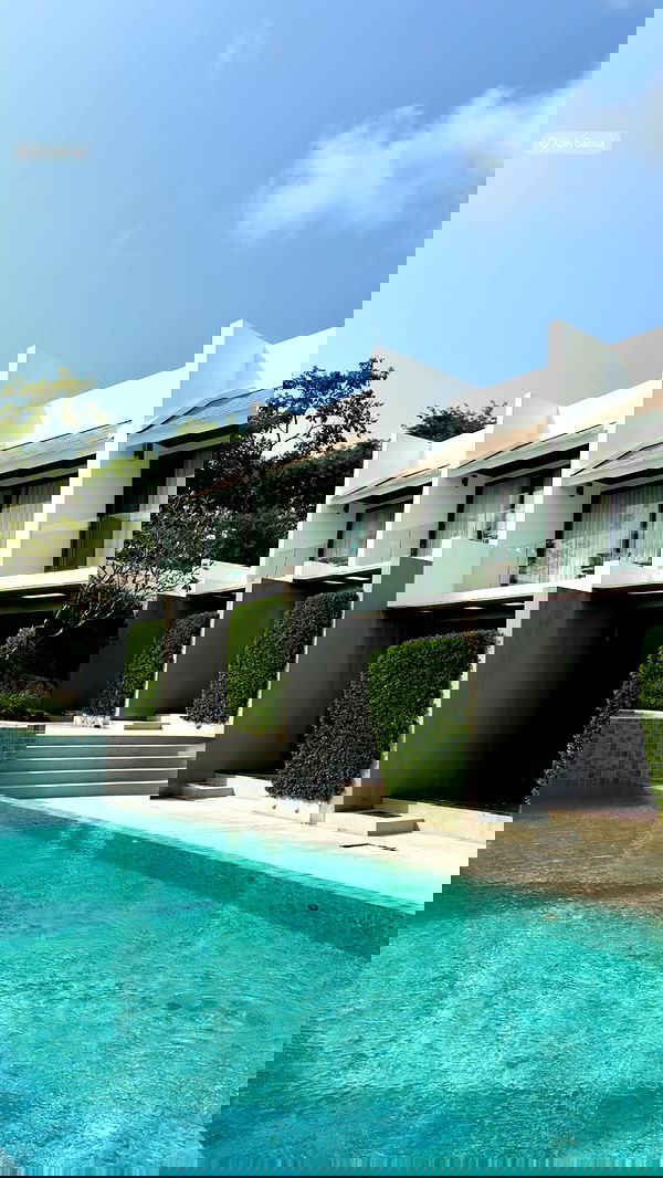 ellie.coldwell image ~ Altpins