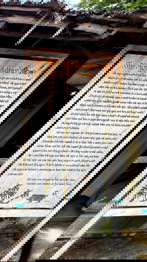 ellie.coldwell image ~ Altpins