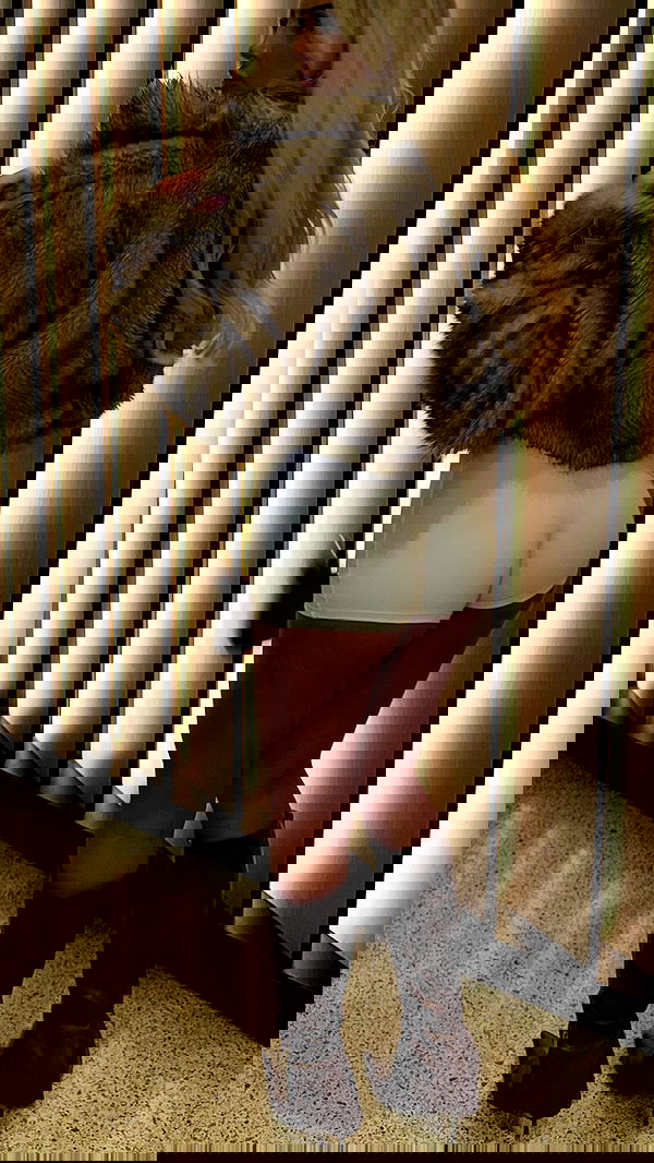 ellie.coldwell image ~ Altpins