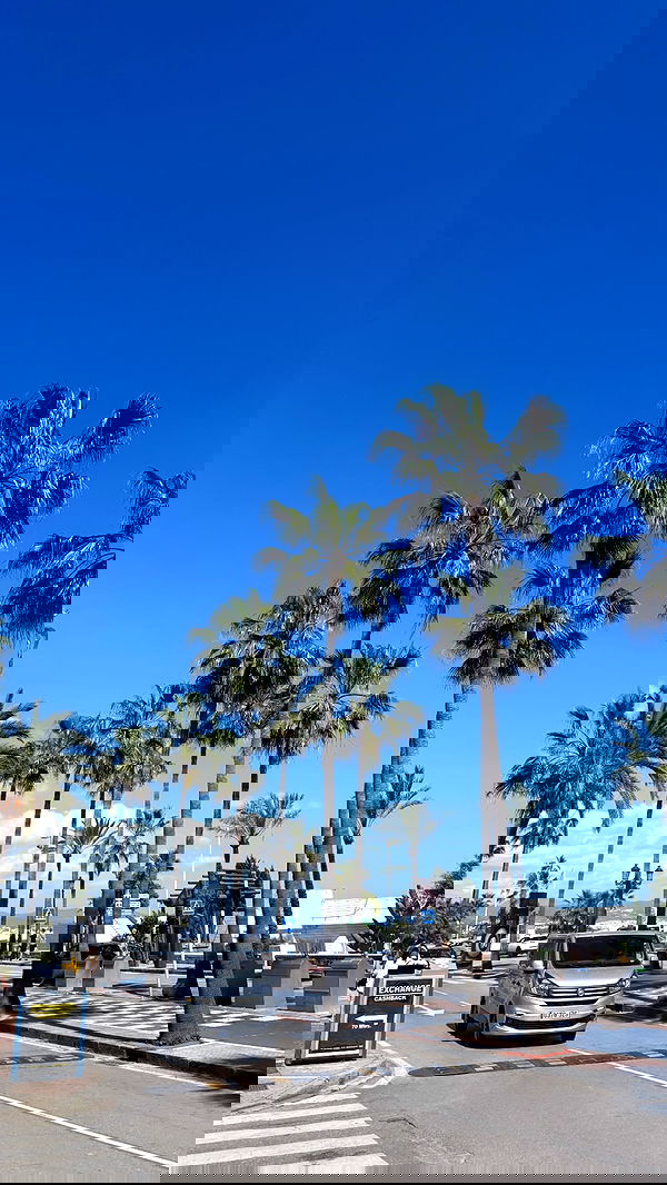 ellie.coldwell image ~ Altpins